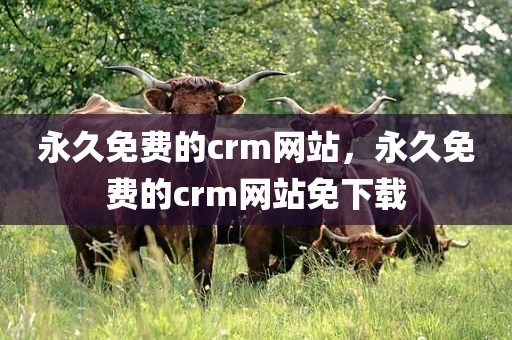 永久免费的crm网站，永久免费的crm网站免下载