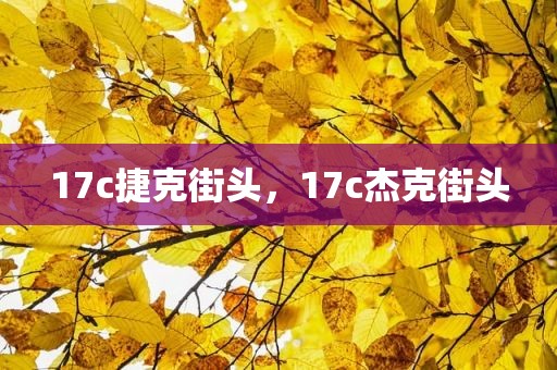 17c捷克街头，17c杰克街头