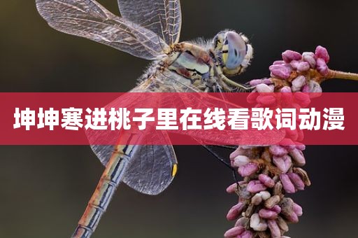 坤坤寒进桃子里在线看歌词动漫
