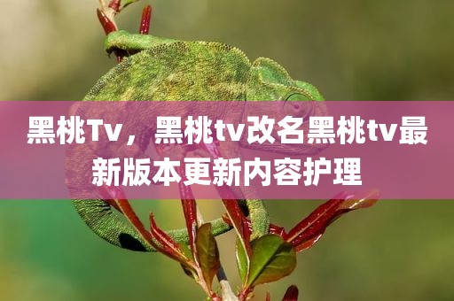 黑桃Tv，黑桃tv改名黑桃tv最新版本更新内容护理