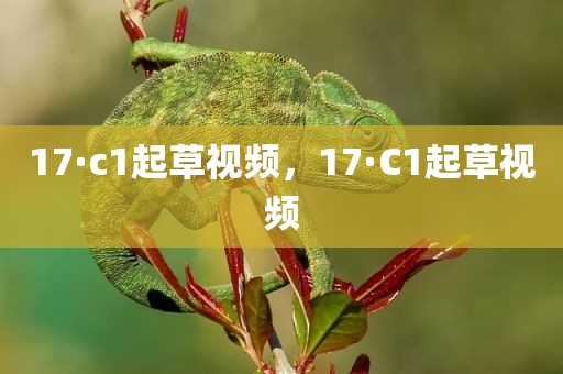 17·c1起草视频，17·C1起草视频