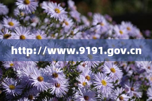 http://www.9191.gov.cn