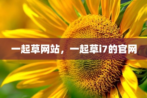 一起草网站，一起草i7的官网