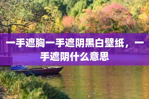 一手遮胸一手遮阴黑白壁纸，一手遮阴什么意思