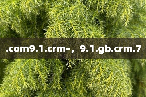 .com9.1.crm-，9.1.gb.crm.7