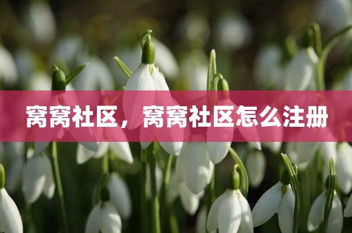 窝窝社区，窝窝社区怎么注册