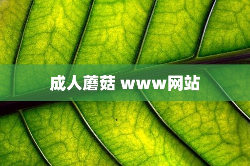 成人蘑菇 www网站