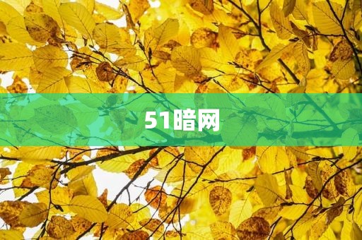 51暗网