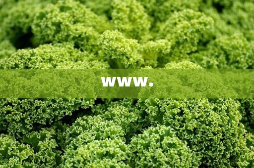 www.