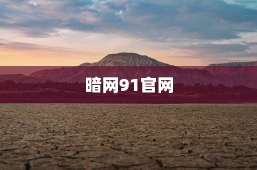 暗网91官网