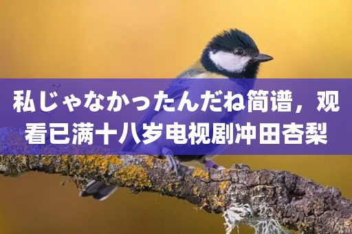 私じゃなかったんだね简谱，观看已满十八岁电视剧冲田杏梨