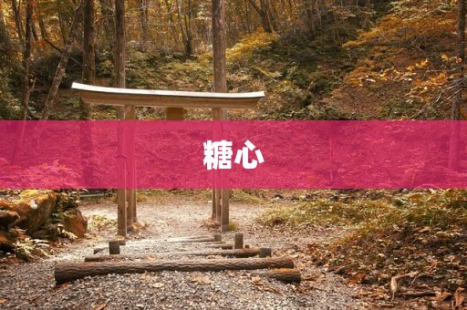 糖心
