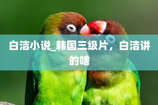 白洁小说_韩国三级片，白洁讲的啥