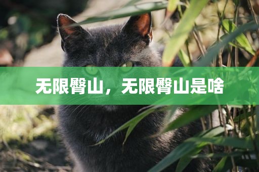 无限臀山，无限臀山是啥