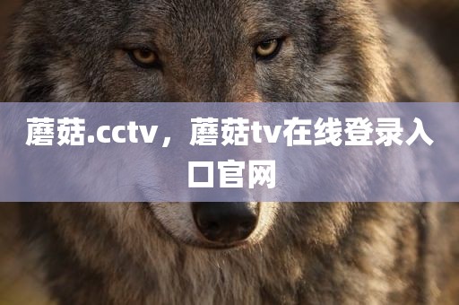 蘑菇.cctv，蘑菇tv在线登录入口官网