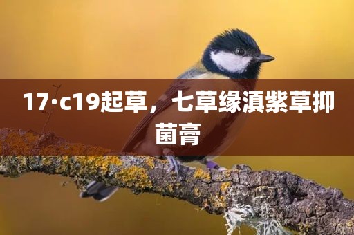17·c19起草，七草缘滇紫草抑菌膏