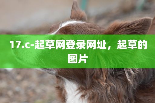 17.c-起草网登录网址，起草的图片