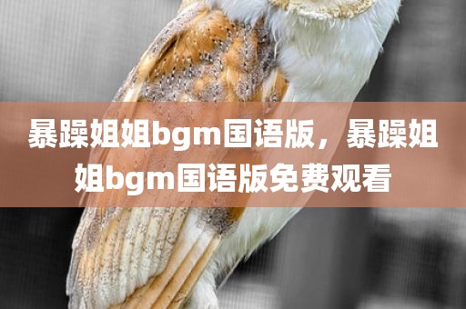 暴躁姐姐bgm国语版，暴躁姐姐bgm国语版免费观看