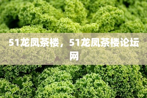51龙凤茶楼，51龙凤茶楼论坛网