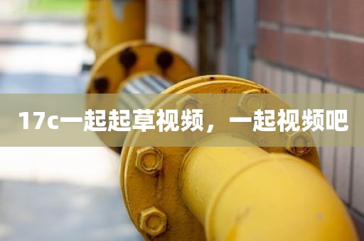 17c一起起草视频，一起视频吧