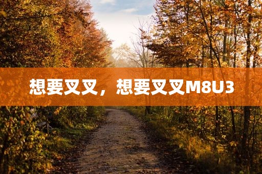 想要叉叉，想要叉叉M8U3