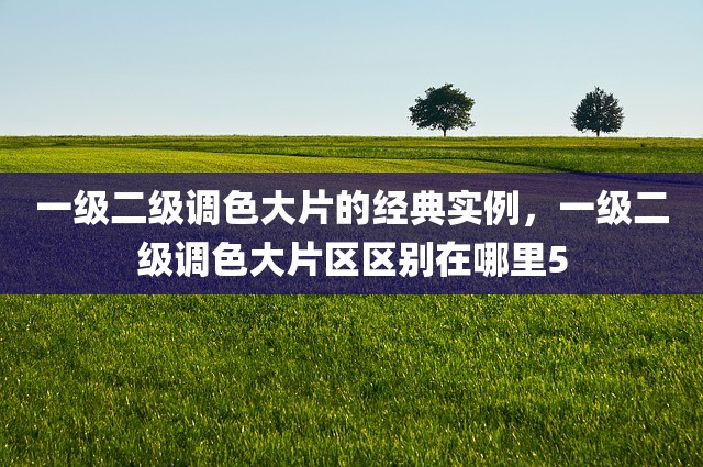 一级二级调色大片的经典实例，一级二级调色大片区区别在哪里5