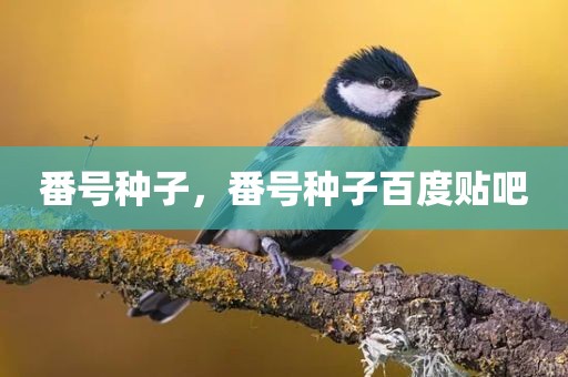番号种子，番号种子百度贴吧