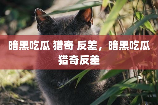 暗黑吃瓜 猎奇 反差，暗黑吃瓜猎奇反差
