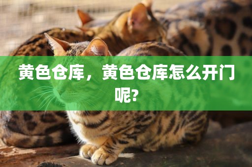黄色仓库，黄色仓库怎么开门呢?