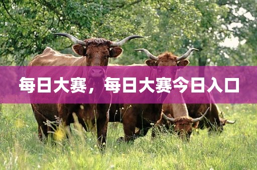 每日大赛，每日大赛今日入口