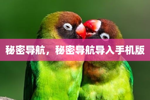 秘密导航，秘密导航导入手机版