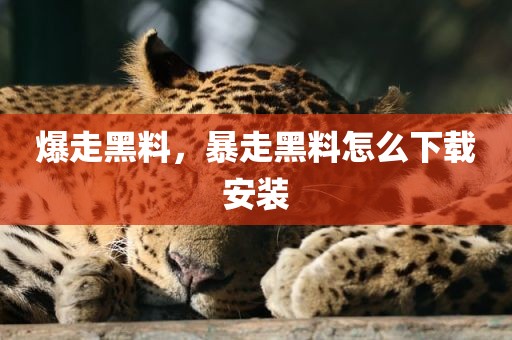 爆走黑料，暴走黑料怎么下载安装