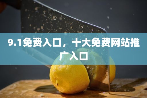 9.1免费入口，十大免费网站推广入口