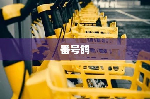 番号鸽