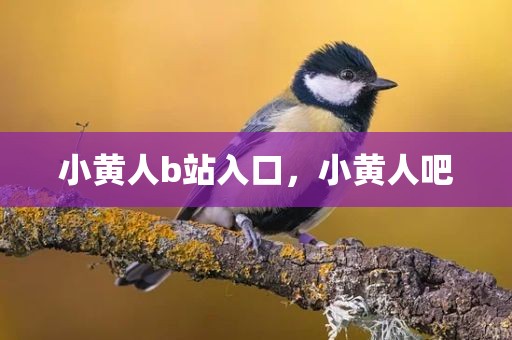 小黄人b站入口，小黄人吧