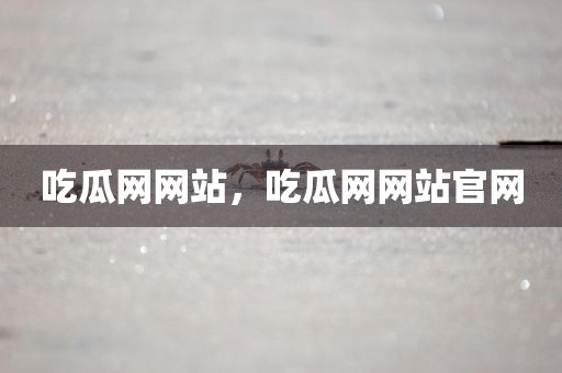 吃瓜网网站，吃瓜网网站官网
