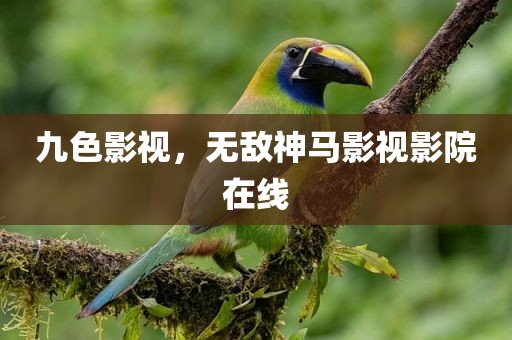 九色影视，无敌神马影视影院在线