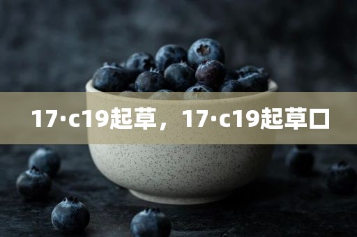 17·c19起草，17·c19起草口