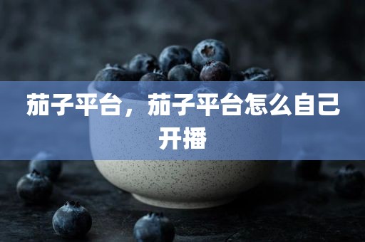 茄子平台，茄子平台怎么自己开播