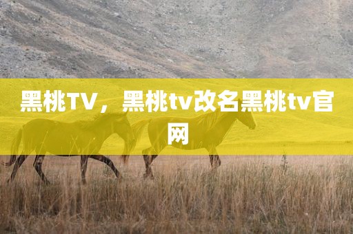 黑桃TV，黑桃tv改名黑桃tv官网