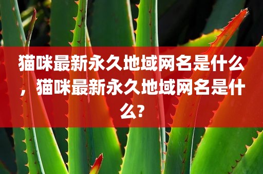 猫咪最新永久地域网名是什么，猫咪最新永久地域网名是什么?