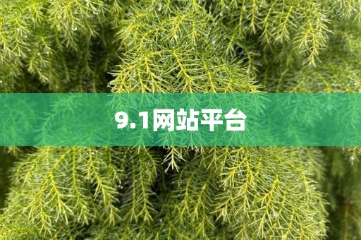 9.1网站平台