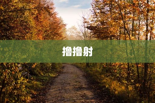 撸撸射