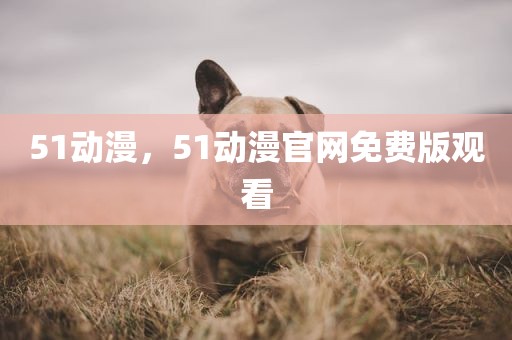51动漫，51动漫官网免费版观看