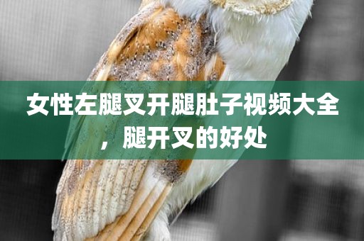 女性左腿叉开腿肚子视频大全，腿开叉的好处