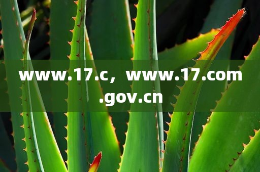 www.17.c，www.17.com.gov.cn