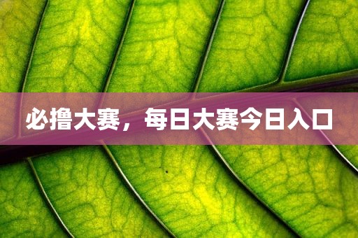必撸大赛，每日大赛今日入口
