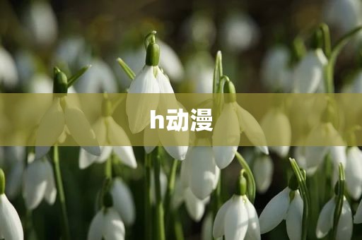 h动漫