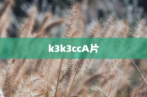 k3k3ccA片