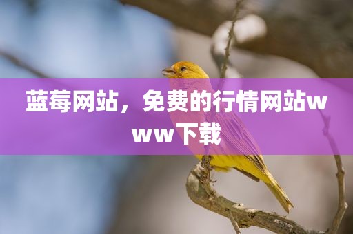 蓝莓网站，免费的行情网站www下载